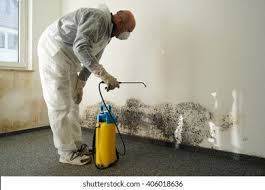 Mold Remediation for Rental Properties in Salem, NC